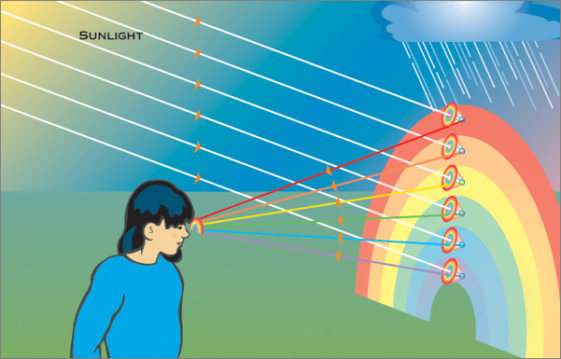 Arco Iris: ¿Cómo Se Forman Los Arco Iris? – NeoTeo