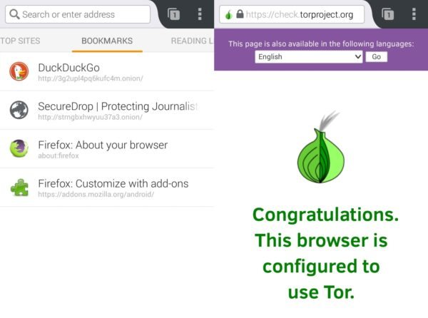 orfox tor browser for android