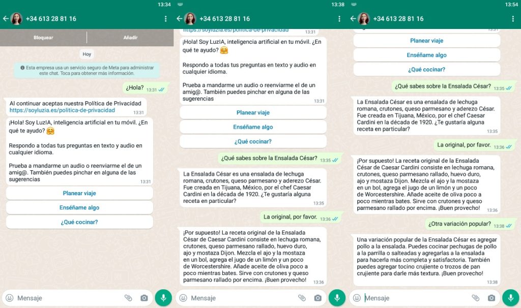 Luzia Una Inteligencia Artificial En Tu Whatsapp Neoteo 3082